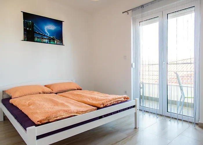 Nemira Sunny ゲストハウス オミシュ